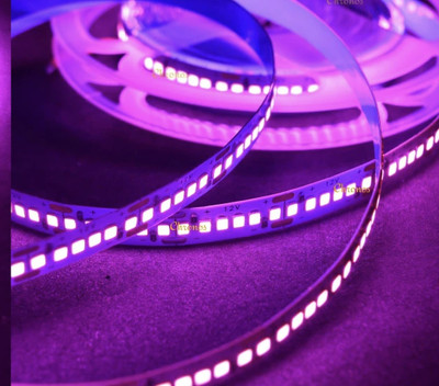 P-ON 240 LEDs 5 m Blue Steady Strip Rice Lights(Pack of 1)