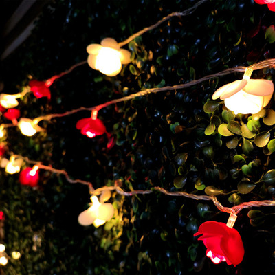 NISCO 20 LEDs 4 m Yellow Steady Flower Rice Lights(Pack of 1)
