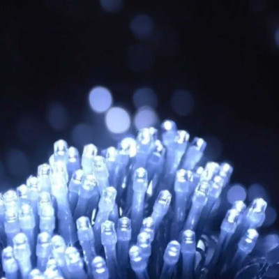 Daiwik 40 LEDs 11 m White Steady String Rice Lights(Pack of 1)