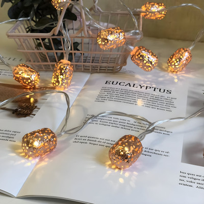 Kavyashine 10 LEDs 3.02 m Gold Steady Bulb Rice Lights(Pack of 1)