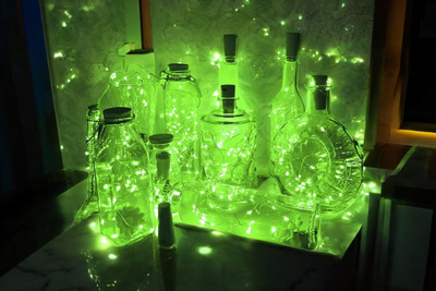 argonlight 16 LEDs 1.6 m Green Steady Diya Rice Lights(Pack of 1)