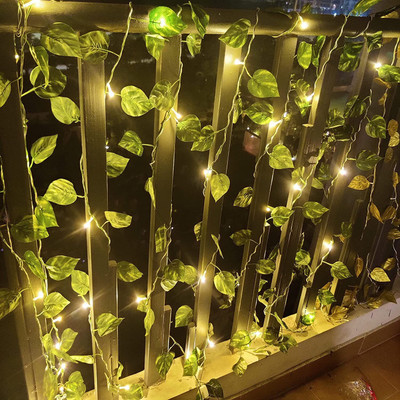 alila 16 LEDs 3.5 m White Steady Leaf Rice Lights(Pack of 1)