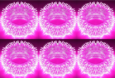 spark world 74 LEDs 21 m Pink Steady Bulb Rice Lights(Pack of 6)