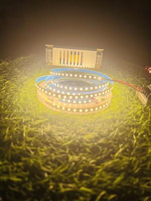 Tryka 600 LEDs 5 m Yellow Steady Strip Rice Lights(Pack of 1)