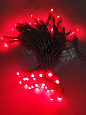 A.S.D. Electronics 50 LEDs 7 m Red Steady String Rice Lights(Pack of 1)