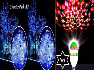REIRSON 40 LEDs 15 m Blue Steady String Rice Lights(Pack of 2)