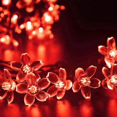 valora 40 LEDs 12 m Red Steady Flower Rice Lights(Pack of 1)