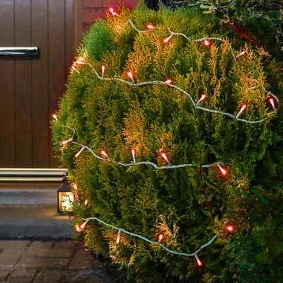 NISCO 20 LEDs 5 m Red Steady String Rice Lights(Pack of 1)