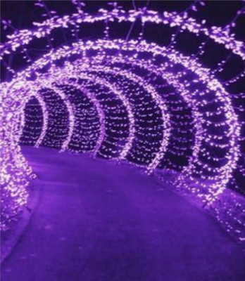 Local Charm 200 LEDs 7 m Purple Steady String Rice Lights(Pack of 10)