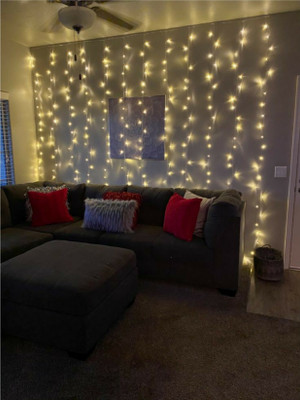 Business Squad 200 LEDs 7 m White Steady String Rice Lights(Pack of 10)