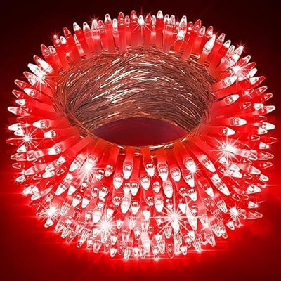 CARSTEN 250 LEDs 50 m Red Steady String Rice Lights(Pack of 1)