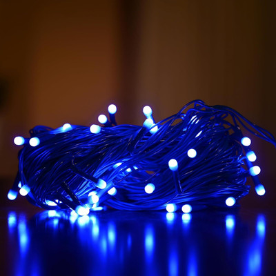 MUMU 42 LEDs 12 m Blue Steady String Rice Lights(Pack of 1)