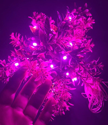 demo 150 LEDs 6 m Pink Steady Leaf Rice Lights(Pack of 1)