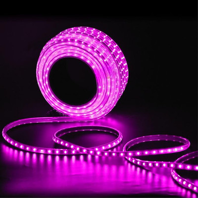 inooBeam 3600 LEDs 30.01 m Pink Steady Strip Rice Lights(Pack of 1)