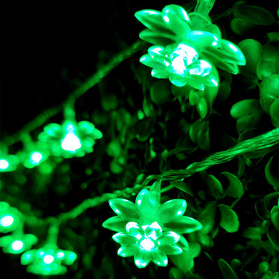 Infiprises 20 LEDs 4 m Green Steady Flower Rice Lights(Pack of 1)