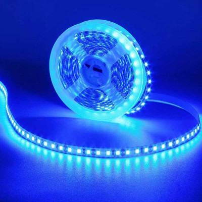 spark world 120 LEDs 5 m Blue Steady Strip Rice Lights(Pack of 2)