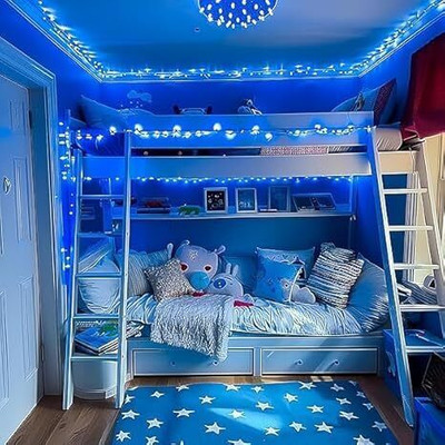 RAYVIX 40 LEDs 9 m Blue Steady String Rice Lights(Pack of 1)