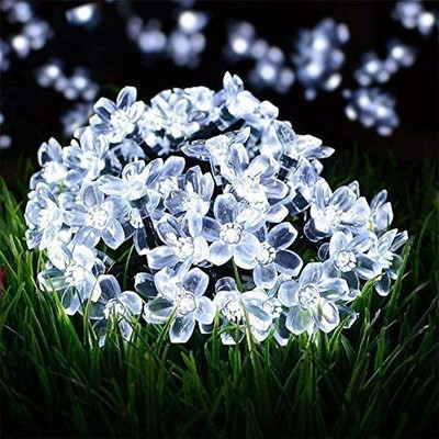 AtneP 40 LEDs 6 m White Steady Ball Rice Lights(Pack of 1)