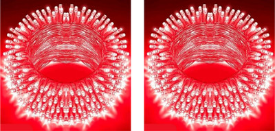 valora 40 LEDs 11 m Red Steady String Rice Lights(Pack of 2)