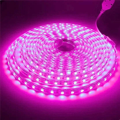 TRAVON 600 LEDs 15 m Pink Steady Strip Rice Lights(Pack of 1)