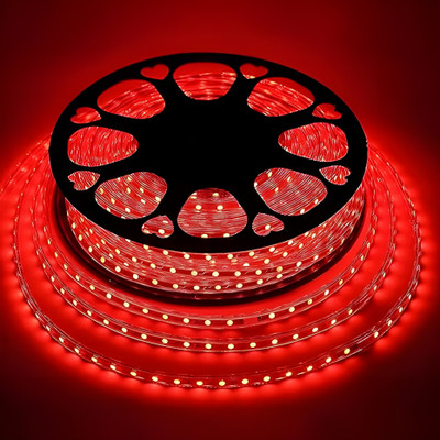 Kingdom 1760 LEDs 22 m Red Steady Strip Rice Lights(Pack of 1)