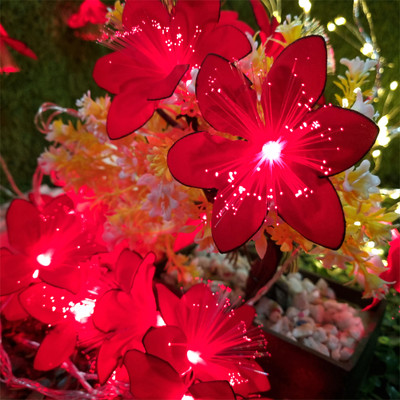 NISCO 16 LEDs 4 m Red Steady Flower Rice Lights(Pack of 1)