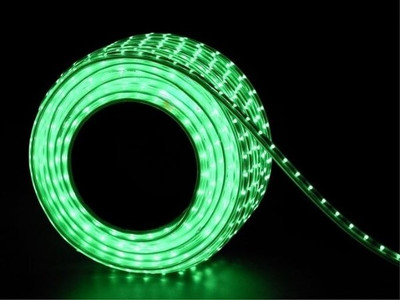 inooBeam 360 LEDs 3.05 m Green Steady String Rice Lights(Pack of 1)