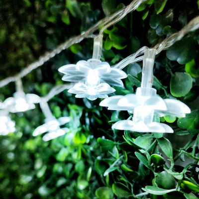 NISCO 20 LEDs 4 m White Steady Flower Rice Lights(Pack of 1)