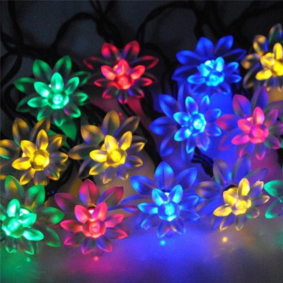 NISCO 36 LEDs 6 m Multicolor Steady Flower Rice Lights(Pack of 1)