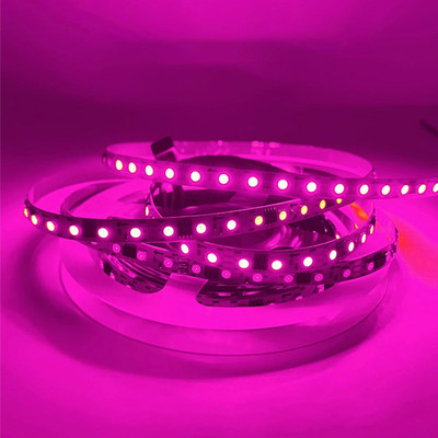 amiciVision 600 LEDs 5 m Pink Steady Strip Rice Lights(Pack of 1)