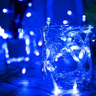 NISCO 36 LEDs 6 m Blue Steady Bulb Rice Lights(Pack of 1)