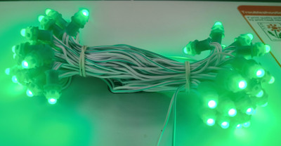 Riptu 50 LEDs 6 m Green Color Changing, Flickering, Steady String Rice Lights(Pack of 1)