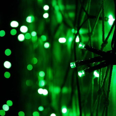 REPISH 40 LEDs 9.5 m Green Steady String Rice Lights(Pack of 1)