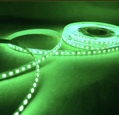 P-ON 120 LEDs 5 m Green Steady Strip Rice Lights(Pack of 1)