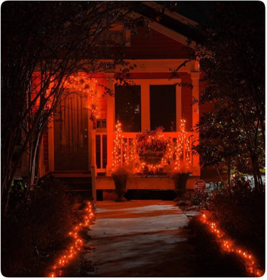 Local Charm 200 LEDs 7 m Red Steady String Rice Lights(Pack of 10)