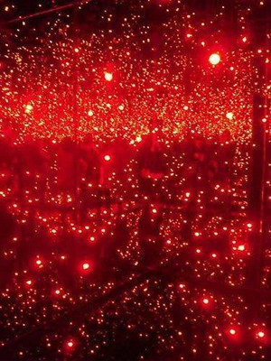 AP Source 40 LEDs 12 m Red Steady String Rice Lights(Pack of 1)