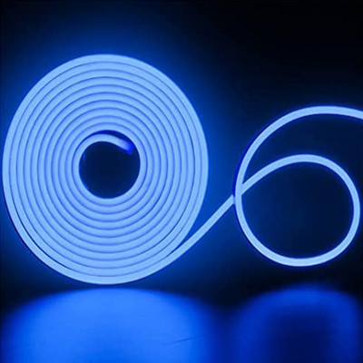 Ever Forever 400 LEDs 5 m Blue Color Changing Bulb Rice Lights(Pack of 1)