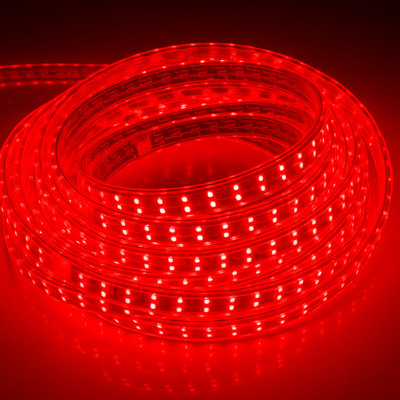 KAVYARA 400 LEDs 5 m Red Steady Strip Rice Lights(Pack of 1)