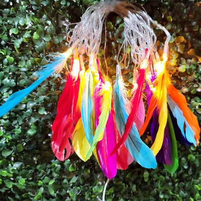 Meneon 20 LEDs 4.1 m Multicolor Steady String Rice Lights(Pack of 1)