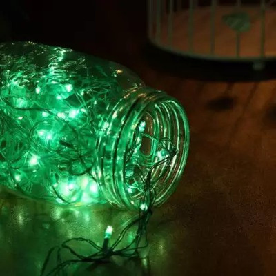 Prescent 20 LEDs 5 m Green Steady String Rice Lights(Pack of 1)