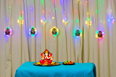 Meneon 96 LEDs 3 m Multicolor Flickering Ganesh Rice Lights(Pack of 1)