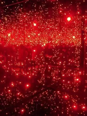 SAYENY 43 LEDs 15 m Red Steady String Rice Lights(Pack of 2)