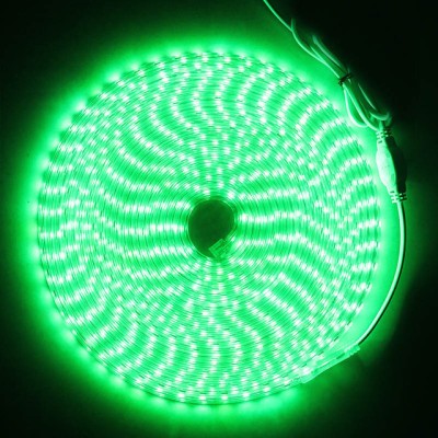 inooBeam 146 LEDs 2.05 m Green Steady Moon Rice Lights(Pack of 1)