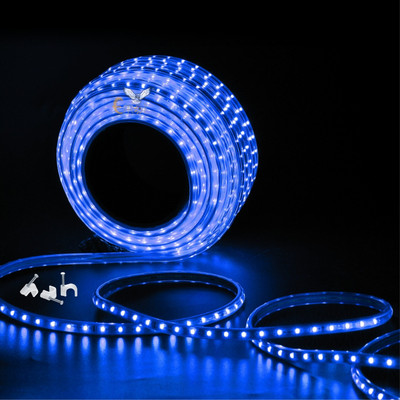 Errol 248 LEDs 4 m Blue Steady Strip Rice Lights(Pack of 1)