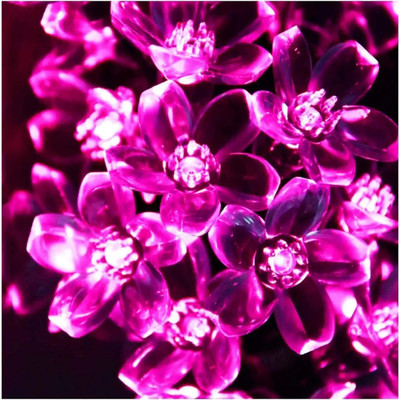 InfraHive 16 LEDs 5.49 m Pink Steady Flower Rice Lights(Pack of 1)