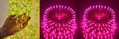 PKG 40 LEDs 11 m Multicolor Steady String Rice Lights(Pack of 3)