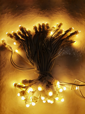 A.S.D. Electronics 50 LEDs 7 m Gold Steady String Rice Lights(Pack of 1)