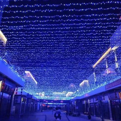 SAYENY 43 LEDs 15 m Blue Steady String Rice Lights(Pack of 1)