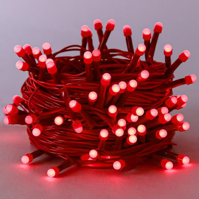 Errol 36 LEDs 11 m Red Steady String Rice Lights(Pack of 1)