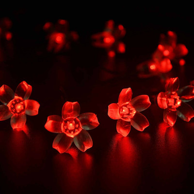 Infiprises 16 LEDs 3 m Red Steady Flower Rice Lights(Pack of 1)